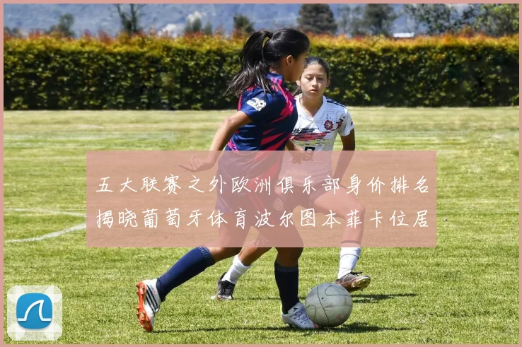五大联赛之外欧洲俱乐部身价排名揭晓葡萄牙体育波尔图本菲卡位居前三