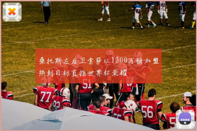 桑托斯左后卫索萨以1300万镑加盟热刺目标直指世界杯荣耀