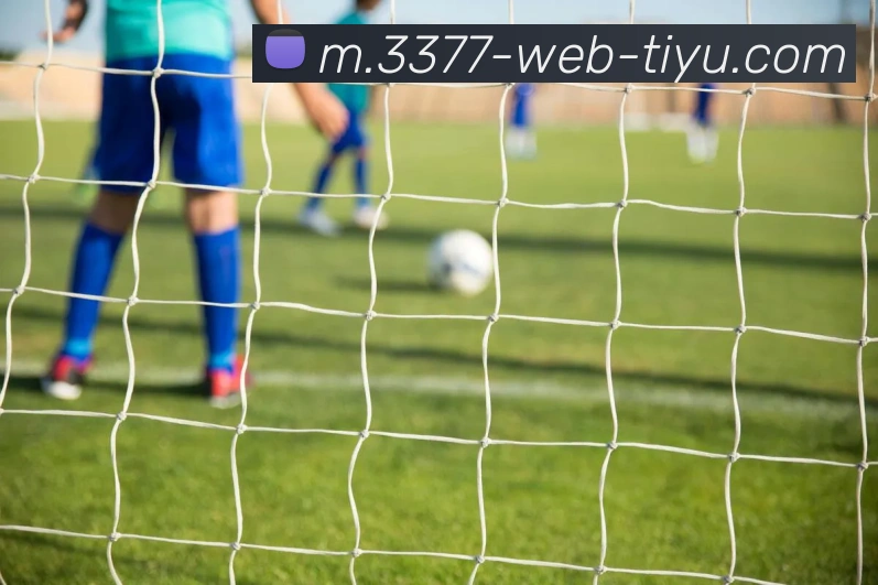 3377体育平台生态图